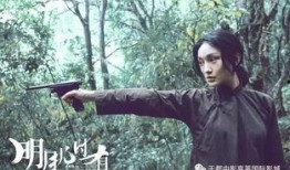 明月几时在线观看,穿越时空的浪漫邂逅